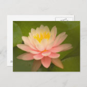 Carte Postale États-Unis, Maryland, Westminster, Union (Devant / Derrière)