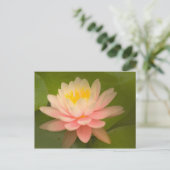 Carte Postale États-Unis, Maryland, Westminster, Union (Debout devant)