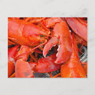 Carte Postale États-Unis, Massachusetts, Martha's Vineyard