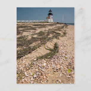Carte Postale États-Unis, Massachusetts, Nantucket. Coquille
