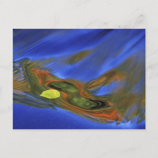 Carte Postale États-Unis, Michigan, Upper Peninsula, feuille de  (Devant)