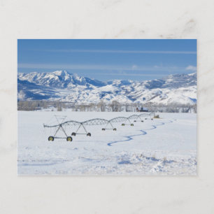 Carte Postale États-Unis, MT, Ferme près de Livingston