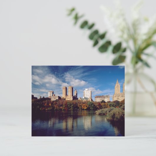 Carte Postale États-Unis, New York, Central Park, Lake (Debout devant)