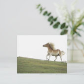 Carte Postale États-Unis, New York State, Hudson, Cheval courir  (Debout devant)