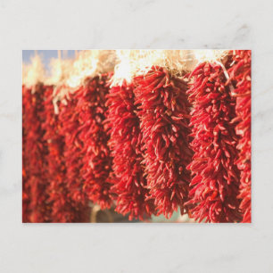 Carte Postale États-Unis, Nouveau-Mexique, Père Noël Fe : Downto