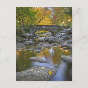 Carte Postale États-Unis, Oregon, Ashland, Lithia Park. Automne