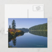 Carte Postale États-Unis, Oregon, Clear Lake (Devant / Derrière)