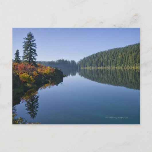 Carte Postale États-Unis, Oregon, Clear Lake (Devant)