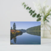 Carte Postale États-Unis, Oregon, Clear Lake (Debout devant)
