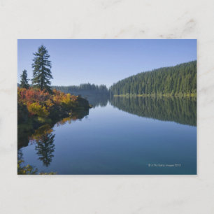 Carte Postale États-Unis, Oregon, Clear Lake