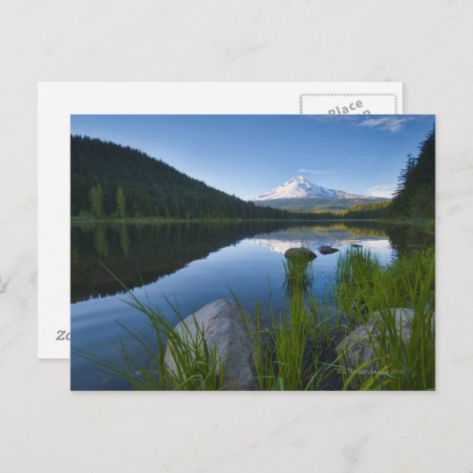 Carte Postale États-Unis, Oregon, Comté de Clackamas, Vue de Tri (Devant / Derrière)