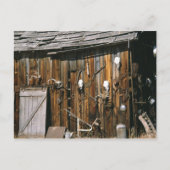 Carte Postale États-Unis, Oregon, comté de Harney. Ancienne stab (Devant)