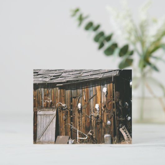 Carte Postale États-Unis, Oregon, comté de Harney. Ancienne stab (Debout devant)