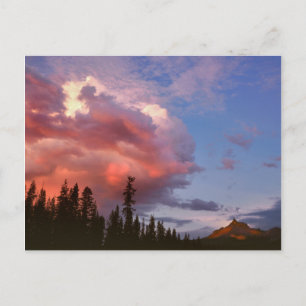 Carte Postale États-Unis, Oregon, Forêt nationale d'Umpqua. Temp