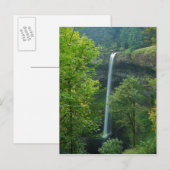 Carte Postale États-Unis, Oregon, Silver Falls State Park (Devant / Derrière)