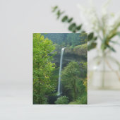 Carte Postale États-Unis, Oregon, Silver Falls State Park (Debout devant)