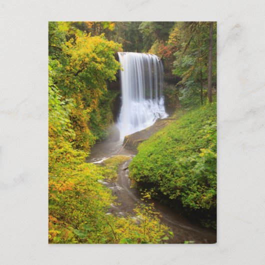 Carte Postale États-Unis, Oregon, Silver Falls State Park 3 (Devant)