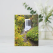 Carte Postale États-Unis, Oregon, Silver Falls State Park 3 (Debout devant)