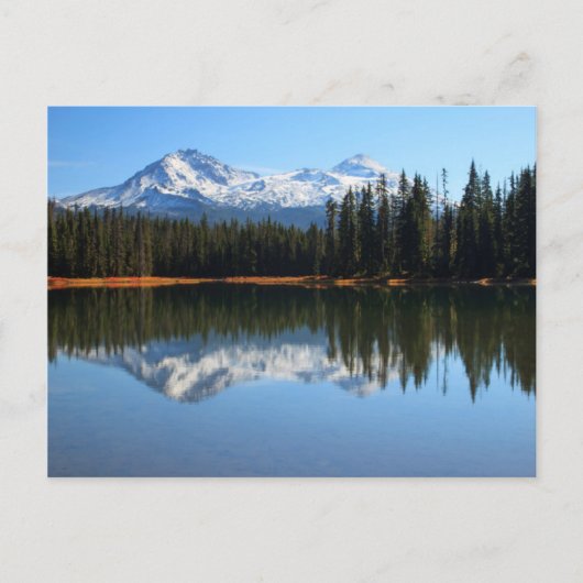 Carte Postale États-Unis, Oregon, Willamette National Forest 2 (Devant)