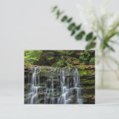 Carte Postale États-Unis, Pennsylvanie, Benton. Cascade à Ricket (Debout devant)