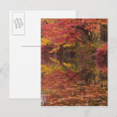 Carte Postale États-Unis, Pennsylvanie, Delaware Water Gap Natio (Devant / Derrière)