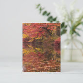 Carte Postale États-Unis, Pennsylvanie, Delaware Water Gap Natio (Debout devant)