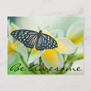 Carte Postale États-Unis, Pennsylvanie. Papillon swallowtail