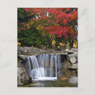 Carte Postale États-Unis, Redmond, Washington. Couleurs d'automn