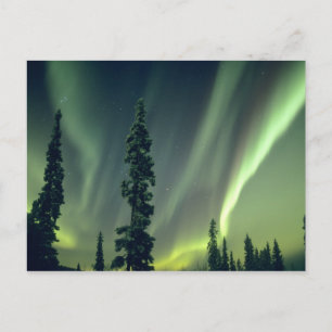 Carte Postale États-Unis, région de Fairbanks, centre de l'Alask