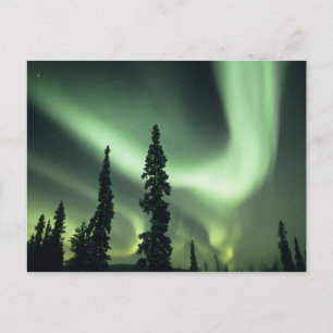 Carte Postale États-Unis, région de Fairbanks, centre de l'Alask