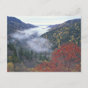 Carte Postale États-Unis, Tennessee, Great Smokey Mountains Nati