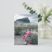 Carte Postale États-Unis, Texas, Big Bend National Park. Florais (Debout devant)