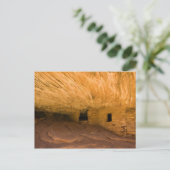 Carte Postale États-Unis, Utah, Cedar Mesa, Mule Canyon. Grès (Debout devant)