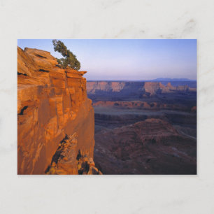 Carte Postale États-Unis, Utah, Dead Horse Point SP. Lumière tar