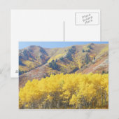 Carte Postale États-Unis, Utah, Forêt nationale de Wasatch-Cache (Devant / Derrière)