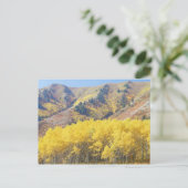 Carte Postale États-Unis, Utah, Forêt nationale de Wasatch-Cache (Debout devant)