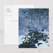 Carte Postale États-Unis, Utah, Forêt nationale de Wasatch-Catch (Devant / Derrière)