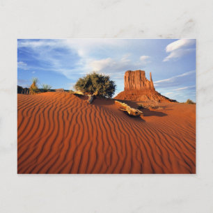 Carte Postale États-Unis, Utah, Monument Valley. Le vent crée