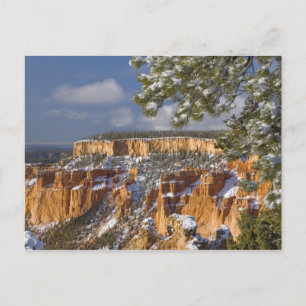 Carte Postale États-Unis, Utah, Parc national de Bryce Canyon. L