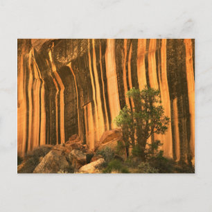 Carte Postale États-Unis, Utah, parc national de Capitol Reef