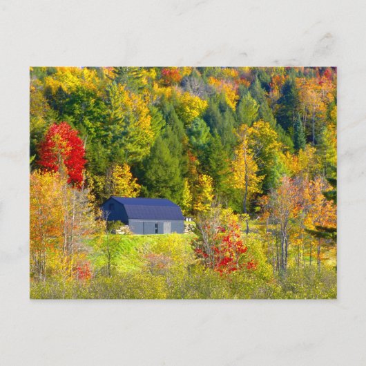Carte Postale États-Unis, Vermont. Feuillage d'automne le long d (Devant)