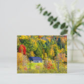 Carte Postale États-Unis, Vermont. Feuillage d'automne le long d (Debout devant)