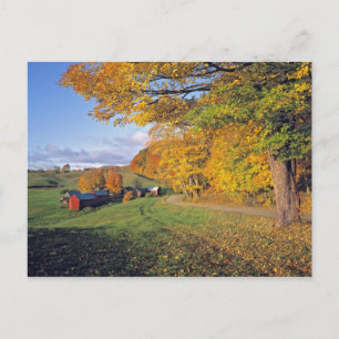 Carte Postale États-Unis, Vermont, Jenne Farm. L'automne arrive