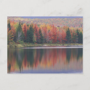 Carte Postale États-Unis, Vermont, lac McAllister, près de Hazen