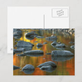 Carte Postale États-Unis, Virginie-Occidentale, Spruce Knob-Sene (Devant / Derrière)