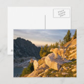 Carte Postale États-Unis, Washington, chaîne des Cascades 4 (Devant / Derrière)