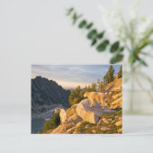 Carte Postale États-Unis, Washington, chaîne des Cascades 4 (Debout devant)