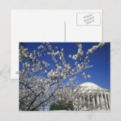 Carte Postale États-Unis, Washington DC. Cherry Blossom Festival (Devant / Derrière)