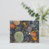 Carte Postale États-Unis, Washington, île de Lopez, plage d'Agat (Debout devant)