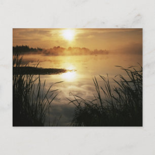 Carte Postale États-Unis, Washington, île Lopez, Brouillard mati